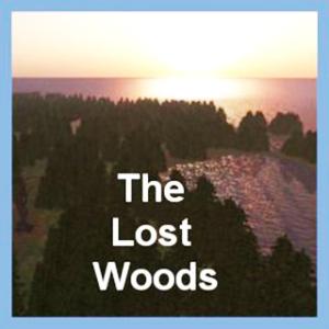 OAR-The Lost Woods 4X4-2